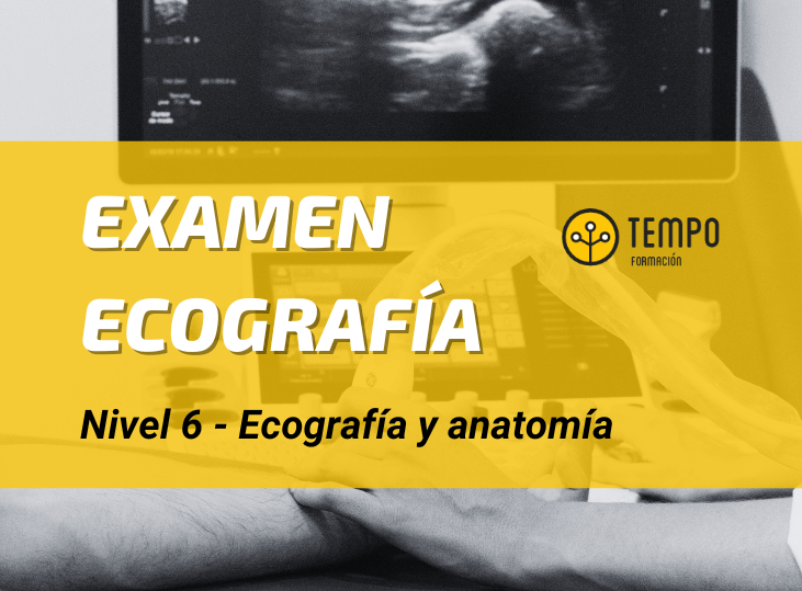 examen-6-ecografia-tempo-formacion